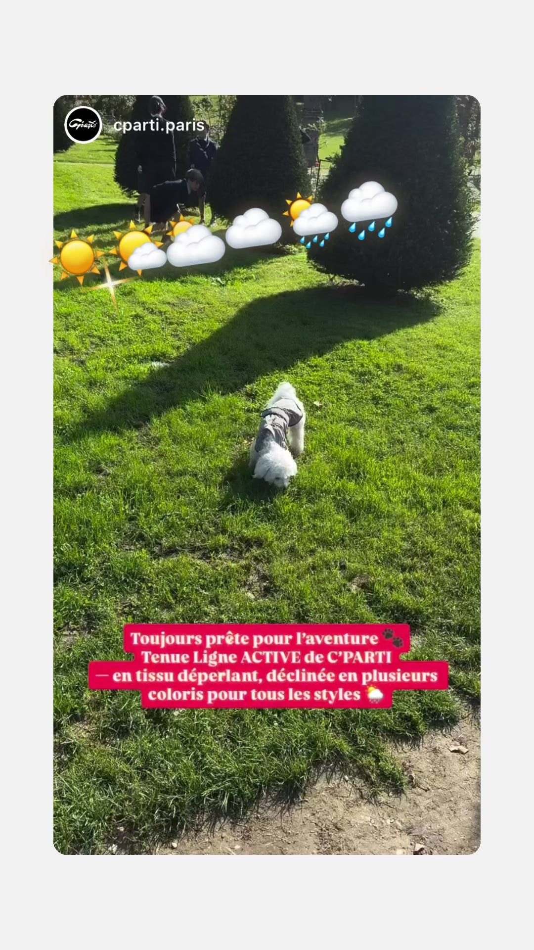 HUSHBABY Imperméable pour chien - Couleur Uni